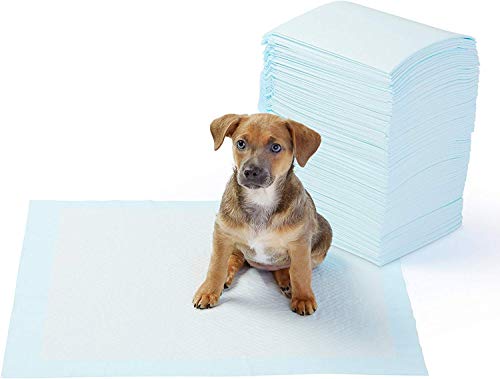 AmazonBasics - Toallitas de entrenamiento para mascotas (tamaño regular, 100 unidades)