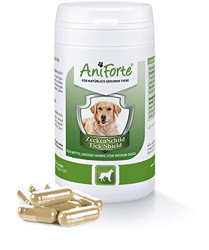 AniForte Thick Shield para Perros (10-35kg) 60 cápsulas. Producto 100% natural. Complejo de Vitamina B que Actúa como Escudo Anti-Garrapatas y Parásitos.