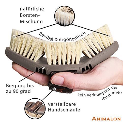 animalon careflex Raíz Cepillo | Pelo Natural de Cepillo de Caballos | Bruza con cerdas Naturales Duros | Flexible & Ergonómica | 3190101 para Caballo con Cierre de Velcro