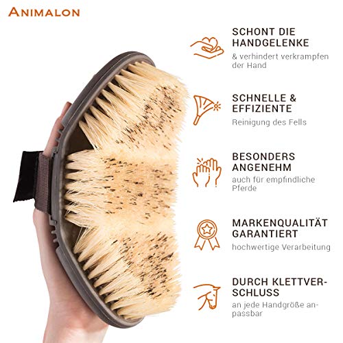 animalon careflex Raíz Cepillo | Pelo Natural de Cepillo de Caballos | Bruza con cerdas Naturales Duros | Flexible & Ergonómica | 3190101 para Caballo con Cierre de Velcro