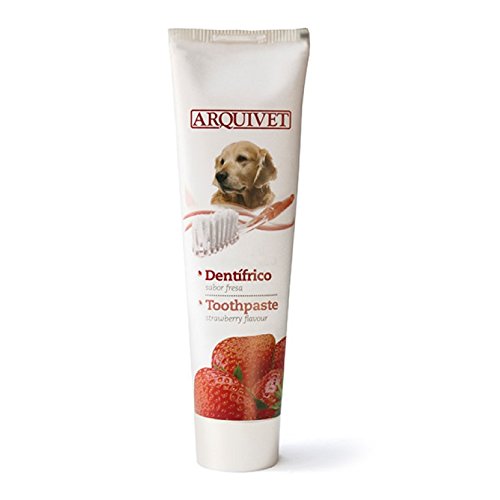 Arquivet 8435117825017 - Dentífrico Perros Fresa 100g