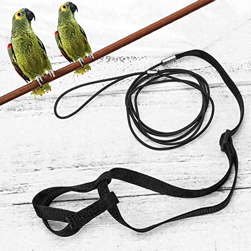 ASOCEA - Arnés Ajustable para Loro, pájaro, Correa antimordeduras, Cuerda de Entrenamiento para Mascotas para Exteriores, tracción para Budgerigar Lovebird, cacatúa, Mynah, pequeño pájaro