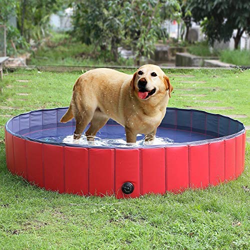 Bañera y Piscina Plegable de PVC para Perros y Gatos pequeños y medianos