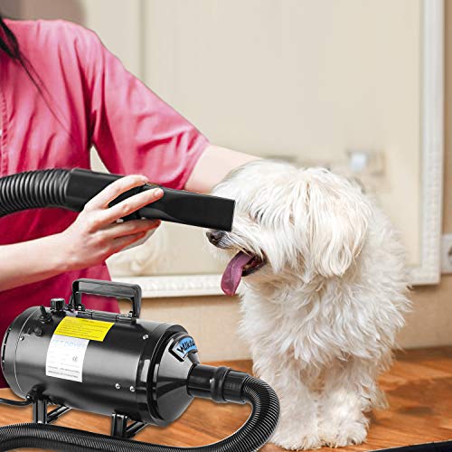 BAODE Secador de Pelo para Perros Gatos Mascotas soplador Secador de Pelo de Belleza para Mascotas Potencia (2400W)