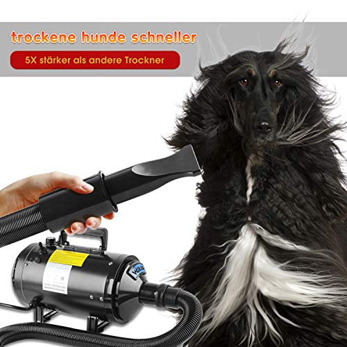 BAODE Secador de Pelo para Perros Gatos Mascotas soplador Secador de Pelo de Belleza para Mascotas Potencia (2400W)