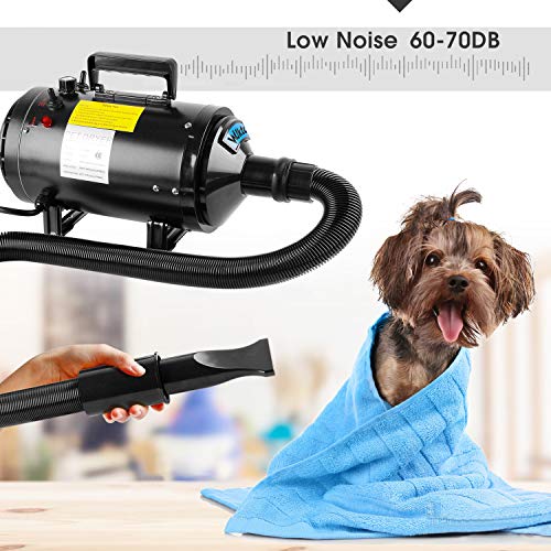 BAODE Secador de Pelo para Perros Gatos Mascotas soplador Secador de Pelo de Belleza para Mascotas Potencia (2400W)