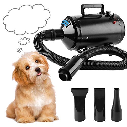 BAODE Secador de Pelo para Perros Gatos Mascotas soplador Secador de Pelo de Belleza para Mascotas Potencia (2400W)