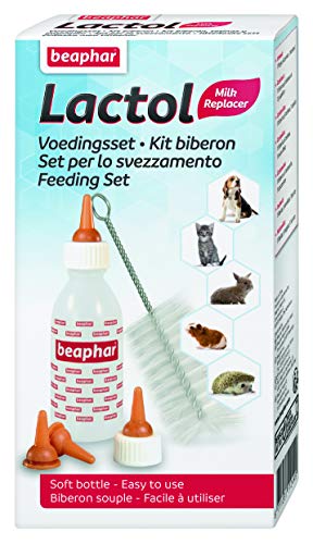 Beaphar Kit Biberón con Tetinas y Cepillo Limpiador