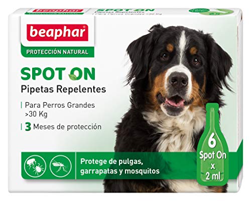 Beaphar pipetas repelentes, Perro Grande, 6 Unidades