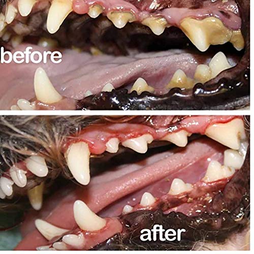 Bearbelly - Ambientador para Aliento de Mascotas, Limpieza de Dientes Perro Gato Limpiador de Cuidado Dental en Aerosol para Eliminar la halitosis Mejora el Cuidado de la Boca Higiene Oral