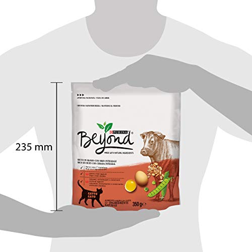 Beyond PURINA Croquetas Gato Rico en Carne de Vacuno con Cebo Integral, 8 Bolsas de 350 g Cada una