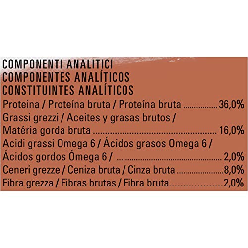 Beyond PURINA Croquetas Gato Rico en Carne de Vacuno con Cebo Integral, 8 Bolsas de 350 g Cada una