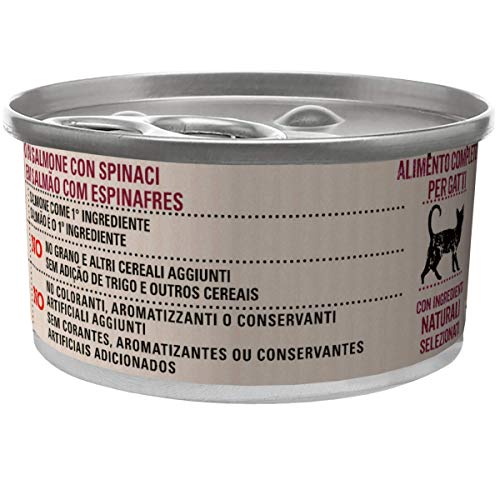 Beyond Purina Humido Gato Grain Free Rico en Salmón con Spinaci, Pack de 12 x 85 g