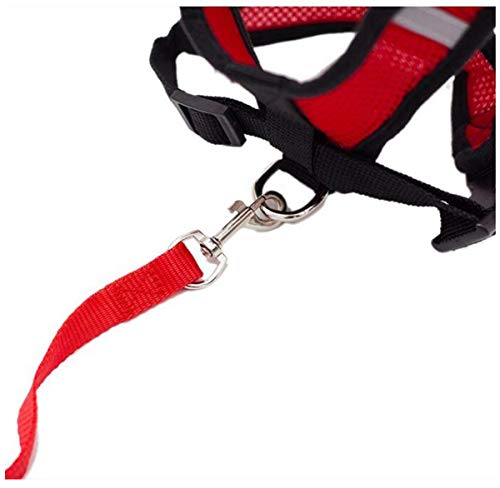 Biluer Juego De Arnés y Correa para Gatos, 4PCS Arnés Gato Pequeños Ajustable Correa Anti-Escape para Gatos para Entrenamiento Seguridad Adapta Gatito Mascotas(2 Códigos M,2 Códigos L)