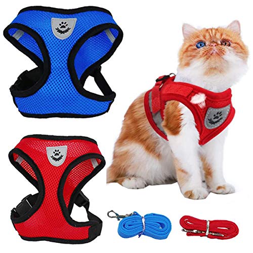 Biluer Juego De Arnés y Correa para Gatos, 4PCS Arnés Gato Pequeños Ajustable Correa Anti-Escape para Gatos para Entrenamiento Seguridad Adapta Gatito Mascotas(2 Códigos M,2 Códigos L)