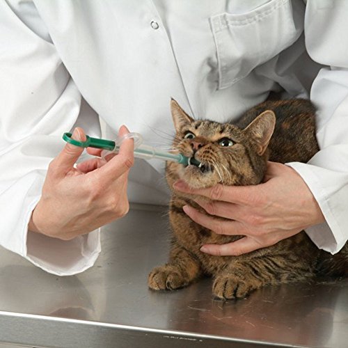 Binnan Jeringa de Silicona para Alimentación Medicamentos, Pastillas, Cápsulas para Mascotas Gatos Perros