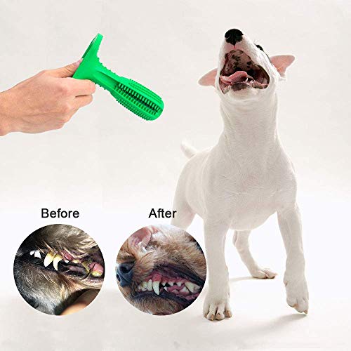 Bogeer Cepillo de Dientes para Perros Dog Brushing Stick Limpieza de higiene Dental Cuidado Oral para Mascotas Juguete para Masticar Regalo de Amante de los Animales no tóxica verde