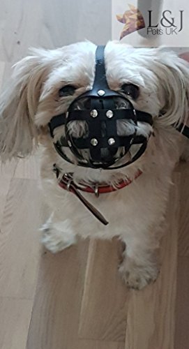 Bozal para Perro. Ideal para Shih Tzu y Otros Perros de hocico Corto. Hecho de Piel