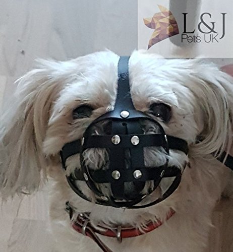 Bozal para Perro. Ideal para Shih Tzu y Otros Perros de hocico Corto. Hecho de Piel