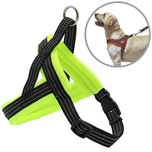 BPS® Arnés Correa para Perros Mascotas Collar Ajustable 4 Tamaños Colores para Elegir para Perro Pequeño Mediano y Grande (M, Verde) BPS-3882V