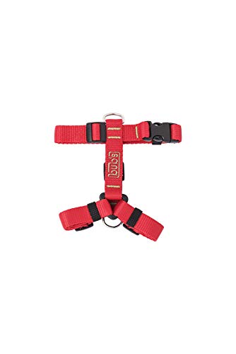 bub's Not Pull - arnés para Perro pequeño Sistema Anti tirón (Comprobar tamaño: Cuello 24 a 42 cm Pecho 31 a 49 cm) Color Rojo