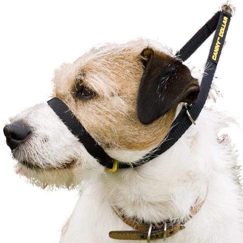 Canny The Collar: Ayuda Simple y efectiva con el Entrenamiento del Perro y Evita Que los Perros tiren de la Correa