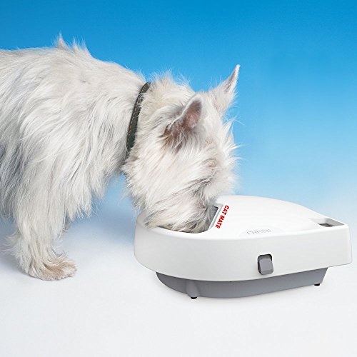 Cat Mate C300 - Comedero automático de 3 Comidas para Mascotas con Temporizador Digital para Gatos y Perros pequeños