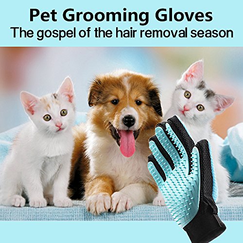 Cepillo para Guantes -con Removedor de pelo para Muebles - Limpieza de Mascotas Para Perros Pequeños, Medianos y Grandes & Gatos Con Pelaje Corto a Largo - Reduce Eficazmente la Caida de Cabello Hasta