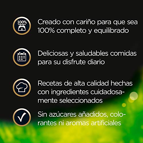 Cesar Multipack de 4 tarrinas de Recetas de la huerta para perro de 150g selección en paté y gelatina (Pack de 6)