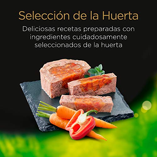 Cesar Multipack de 4 tarrinas de Recetas de la huerta para perro de 150g selección en paté y gelatina (Pack de 6)