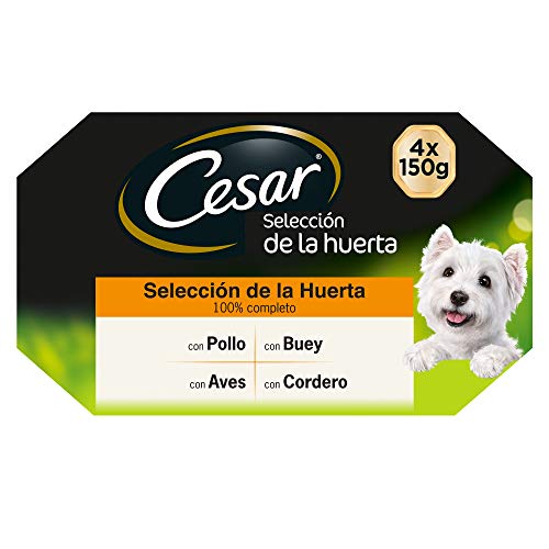 Cesar Multipack de 4 tarrinas de Recetas de la huerta para perro de 150g selección en paté y gelatina (Pack de 6)