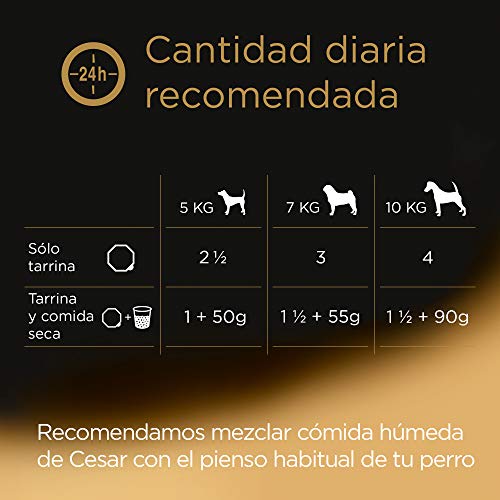 Cesar Multipack de 8 tarrinas para perro de 150g selección de clásicos en paté (Pack de 3)