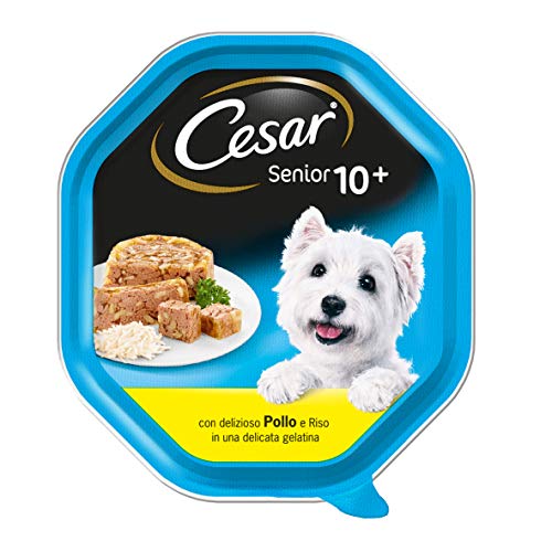 Cesar Senior 10 + con Pollo y arroz en una Delicada gelatina – Paquete de 14 Unidades