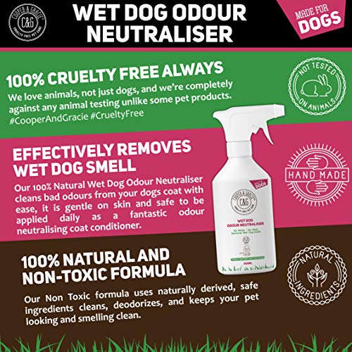 C&G Pets C&G - NEUTRALIZADOR DE Olor A Perro Mojado 500ML - ELIMINADOR DE Olor SIN Agua - Desodorante EN Spray SIN Enjuague - Perro DE Olor Agradable - Ingredientes Libre DE CRUELDAD