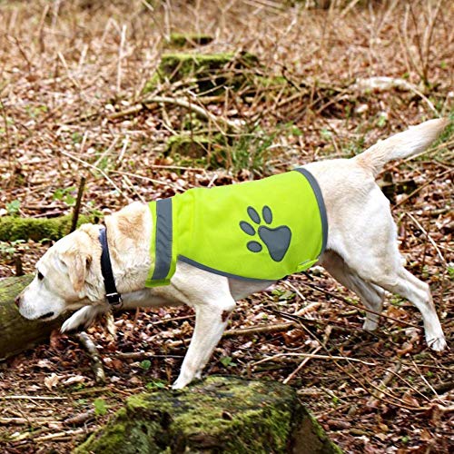 Chaleco de seguridad para perros, ropa reflectante casual para mascotas, Disfraces de alta visibilidad para caminar y hacer ejercicio, para senderismo al aire libre, X-Large