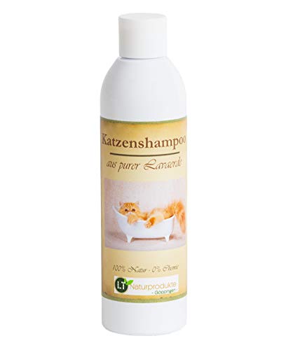 Champú para gatos | Orgánico | Libre de químicos y jabones | Hipoalergénico | Contra el picor | Con tierra de lava marroquí original | 250 ml | Para pelos cortos y largos | Para pelo brillante