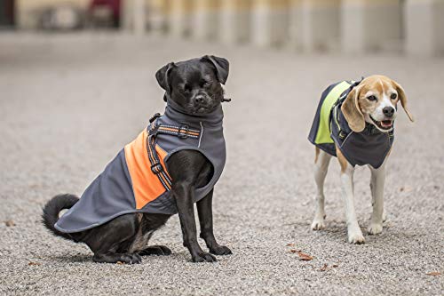 CHIARA chj-1500 de y1802or de 2 x l Perros Chaqueta, XXL, Color Naranja