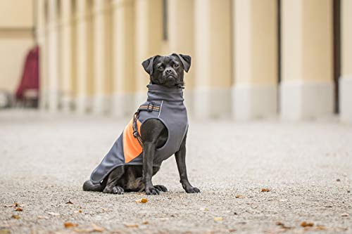 CHIARA chj-1500 de y1802or de XL Perros Chaqueta, XL, Naranja