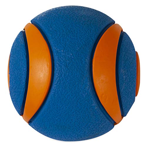 Chuckit! 52069 Ultra Squeaker Ball, 1 Pelota para Perros Compatible con el Lanzador, L