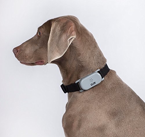 COA No-Bark Collar Small