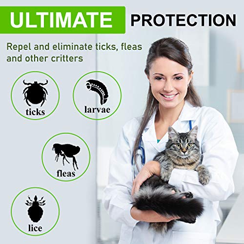 Collar antipulgas y garrapatas para Gatos, resistente al aqua, protección activa de hasta 8 Meses, 33 centimetros, para qualquier tamaño de gato