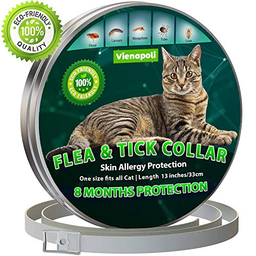 Collar antipulgas y garrapatas para Gatos, resistente al aqua, protección activa de hasta 8 Meses, 33 centimetros, para qualquier tamaño de gato