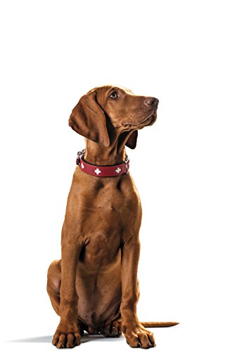 Collar de perro HUNTER Suiza, cuero, 42, rojo / negro