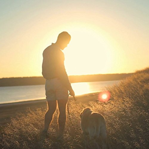 Correa Perro, 1,5m Correa de Perro Fuerte con Mango Acolchado, Hilos Altamente Reflectantes, Bolsas para excrementos de perro con dispensador para Perros Pequeños, Medianos y Grandes, Azul