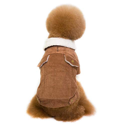 CyFe - Abrigo de Invierno cálido para Perro, Doble Felpa Gruesa con diseño de Oso Perezoso (XXL, Coffce)