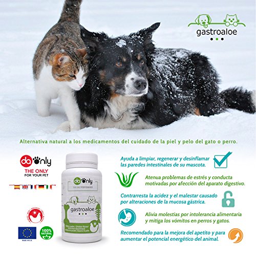 DAONLY Salud gastrointestinal para tu Mascota, indicado para intestino Irritable, Gusanos intestinales, Alternativa Natural a los medicamentos para Perros, Aloe Vera para Gatos y Perros (Sabor Pollo)