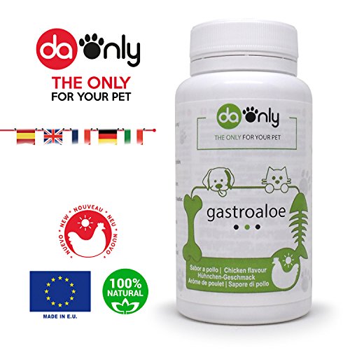 DAONLY Salud gastrointestinal para tu Mascota, indicado para intestino Irritable, Gusanos intestinales, Alternativa Natural a los medicamentos para Perros, Aloe Vera para Gatos y Perros (Sabor Pollo)