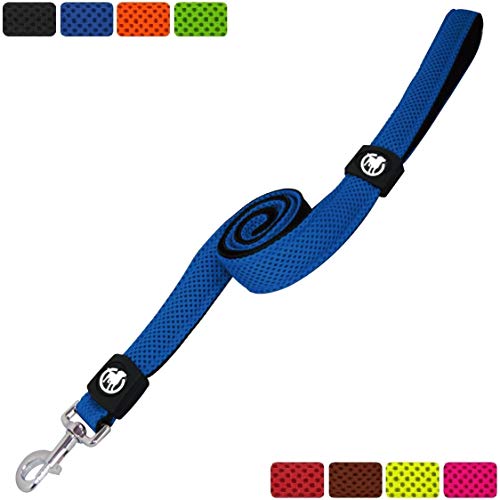 DDOXX Correa Perro Air Mesh, Acolchado, Lazo de Mano, 120 cm | Diferentes Colores & Tamaños | para Perros Pequeño, Mediano y Grande | Accesorios Gato Cachorro | Azul, M