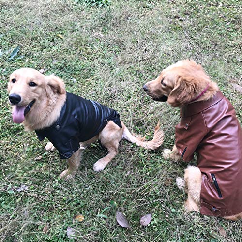 DELIFUR - Chaqueta de piel para perro, para mascotas, ropa de motocicleta, para invierno, para perros pequeños, medianos y grandes