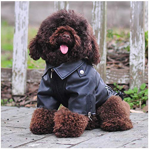 DELIFUR - Chaqueta de piel para perro, para mascotas, ropa de motocicleta, para invierno, para perros pequeños, medianos y grandes